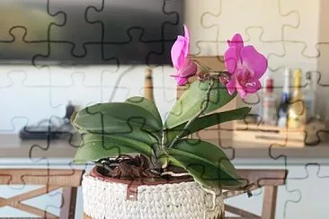 flores jigsaw puzzle