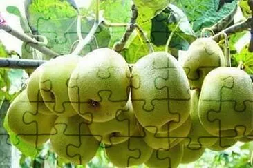 imagem jigsaw puzzle