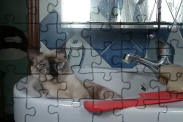 Maru 01 jigsaw puzzle