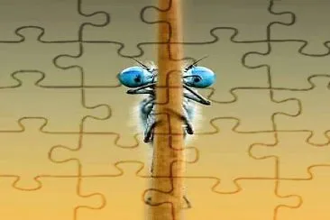 cores jigsaw puzzle