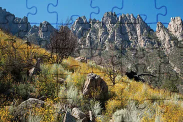 imagem jigsaw puzzle