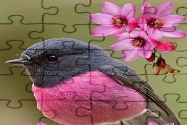 flores jigsaw puzzle