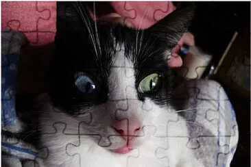 Yuki jigsaw puzzle