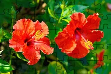 imagem jigsaw puzzle
