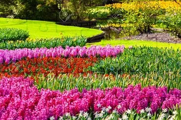 primavera pink jigsaw puzzle