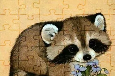 Mapaches con Flores