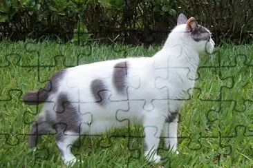 Sicoli jigsaw puzzle