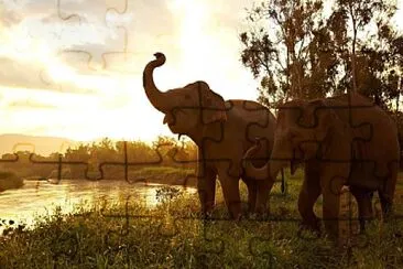 natural jigsaw puzzle