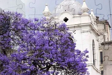flores jigsaw puzzle