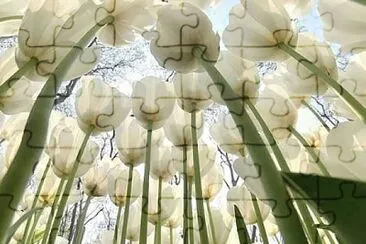 flower jigsaw puzzle