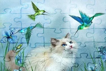 cores jigsaw puzzle