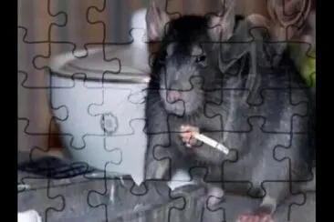 Desencana jigsaw puzzle
