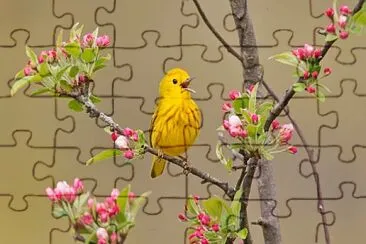 imagem jigsaw puzzle