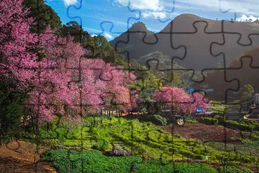 פאזל של imagem