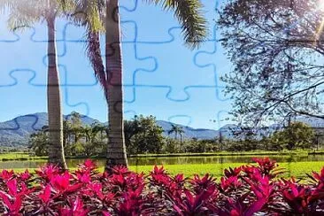  jigsaw puzzle