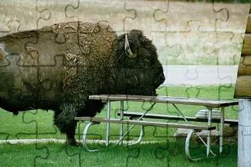 general jigsaw puzzle