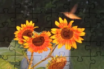 פאזל של Hummingbird at sunflowers