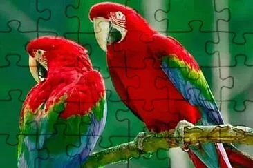 imagem jigsaw puzzle