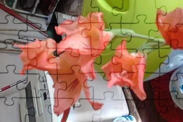 פאזל של flores