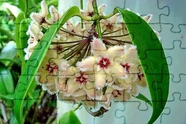 imagem jigsaw puzzle