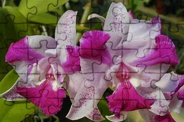 imagem jigsaw puzzle