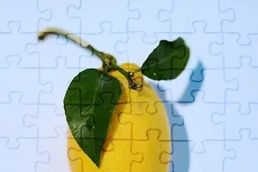 general jigsaw puzzle