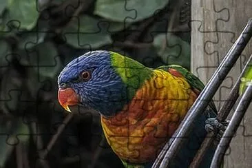 general jigsaw puzzle