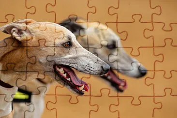 general jigsaw puzzle