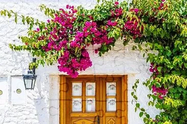 flores jigsaw puzzle