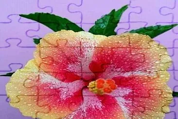 flores jigsaw puzzle