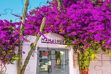 flores