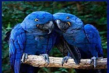 love jigsaw puzzle