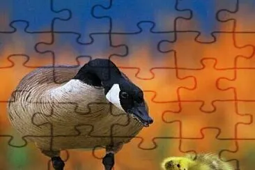 cores jigsaw puzzle