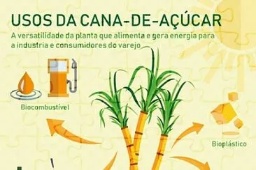 Usos da cana