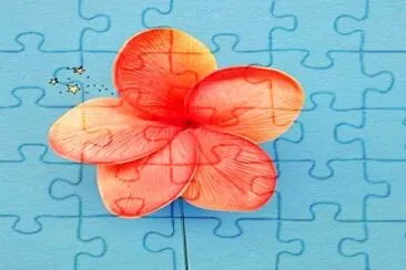 פאזל של flores