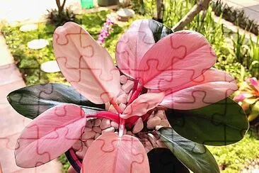 flores jigsaw puzzle