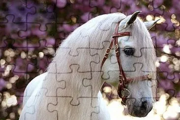 imagem jigsaw puzzle