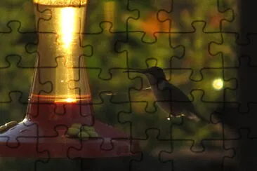 Hummingbird in for breakfast jigsaw puzzle