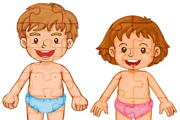 Cuerpo humano jigsaw puzzle