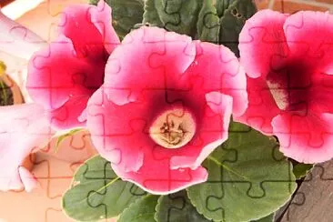 FLOWERS jigsaw puzzle