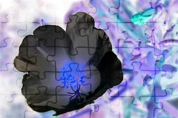 jason2009 jigsaw puzzle
