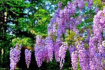 imagem jigsaw puzzle