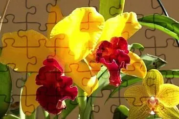 flores jigsaw puzzle