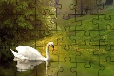 פאזל של cigno