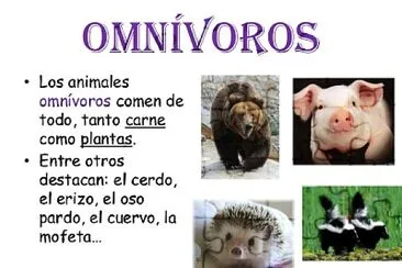 פאזל של Animales OmnÃ­voros