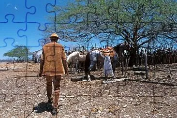 Sertanejo jigsaw puzzle