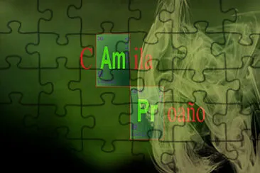  jigsaw puzzle