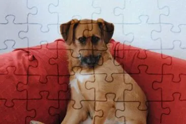 Mein Wauwi jigsaw puzzle