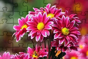 edgar jigsaw puzzle