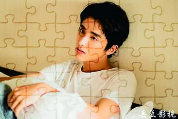 ä¸­åœ‹ç”·æ¼”å“¡ å¼µæ–°æˆ jigsaw puzzle